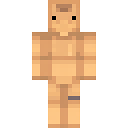 Desert Bee Wanderer — Skin pública de la comunidad