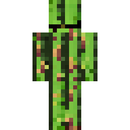 Cactus Character Skin — Public community skin